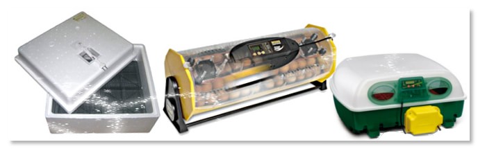 Role ventilace v inkubátoru