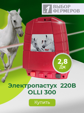 Электропастух / Лошади Электропастух / Лошади