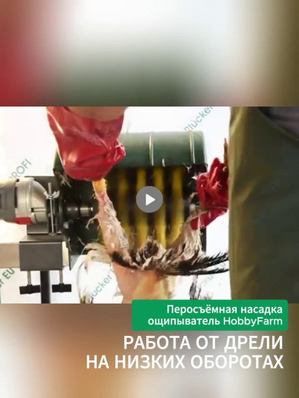 Настольная насадка для ощипывания птицы