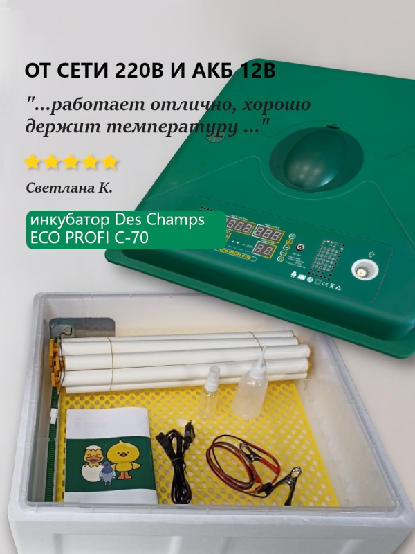 Ценный отзыв об инкубаторе Des Champs ECO PROFI C-70