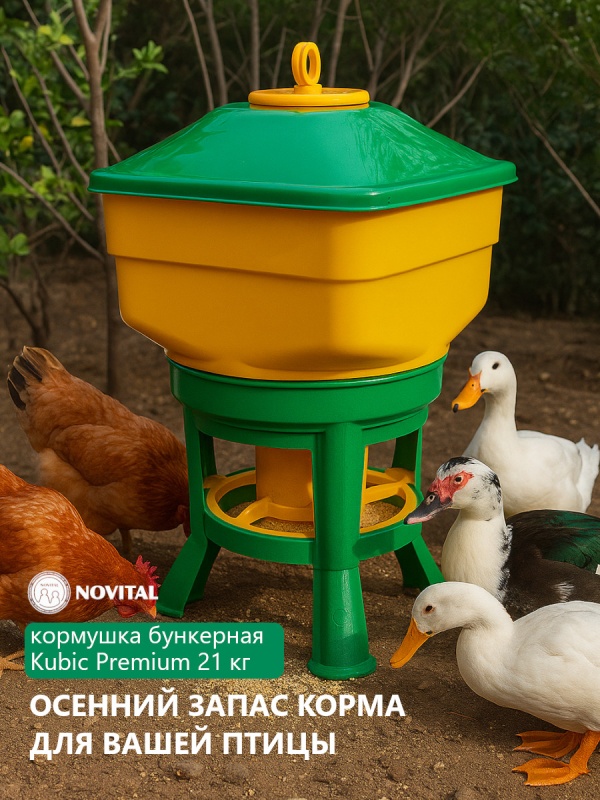Kubic Premium - это настоящее удовольствие