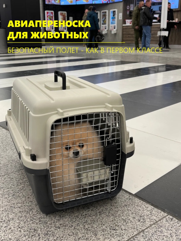 Надежная пластиковая авиапереноска с удобной ручкой 