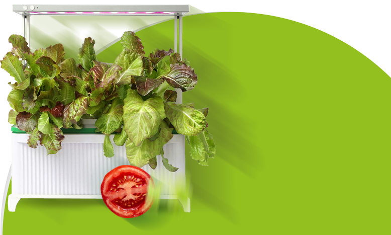 Гидропонные установки HobbyFarm