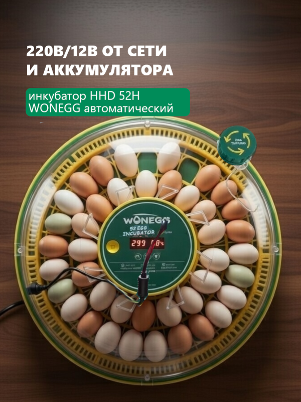 Ваш надежный помощник - инкубатор HHD 52H WONEGG
