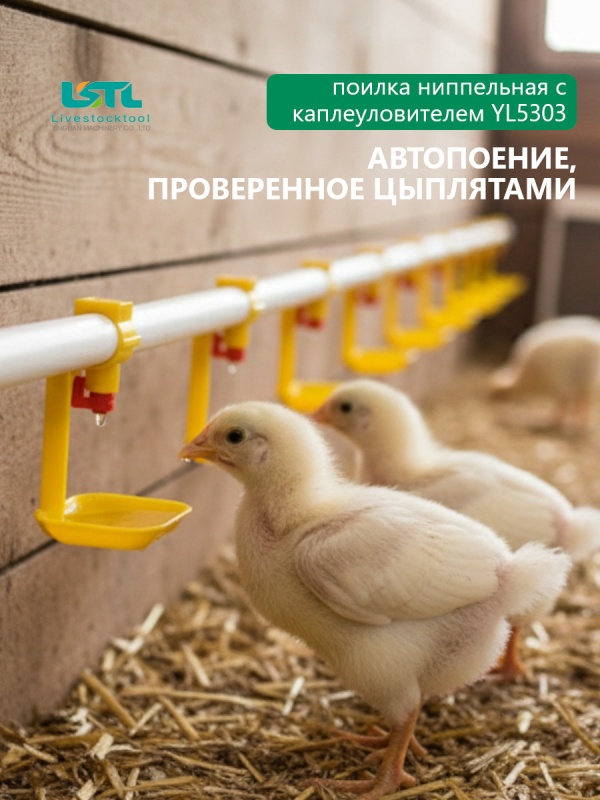Автопоение, проверенное тысячами цыплят