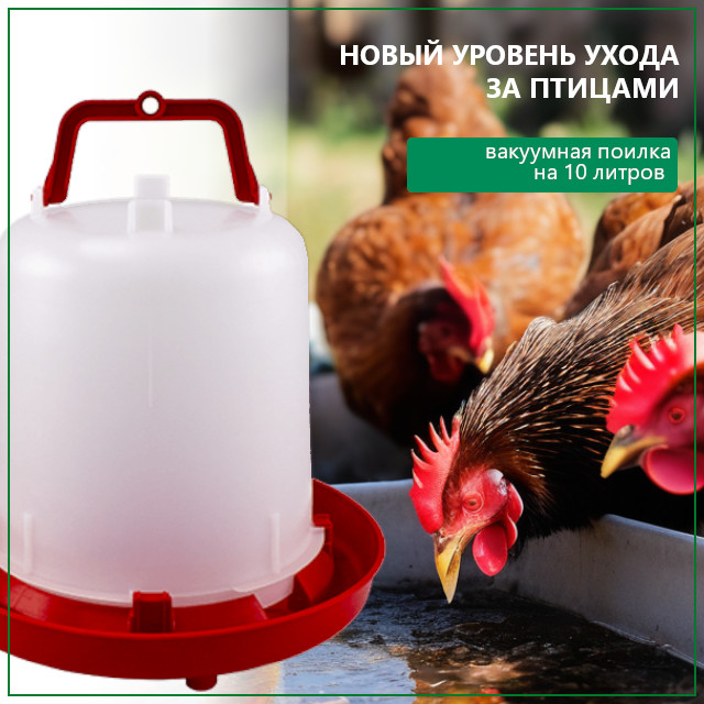 Почему вакуумная поилка лучше тазика для поения кур Почему вакуумная поилка лучше тазика для поения кур