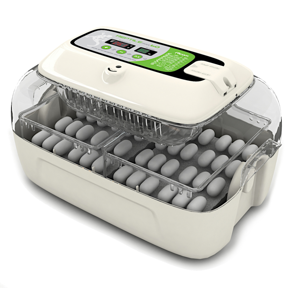 Купить инкубатор в воронеже. RCOM 60 Max инкубатор для яиц рептилий. Инкубатор Janoel Mini 10 Plus. Инкубатор для яиц рептилий r-com 60 Max. Egg o Bator инкубатор.