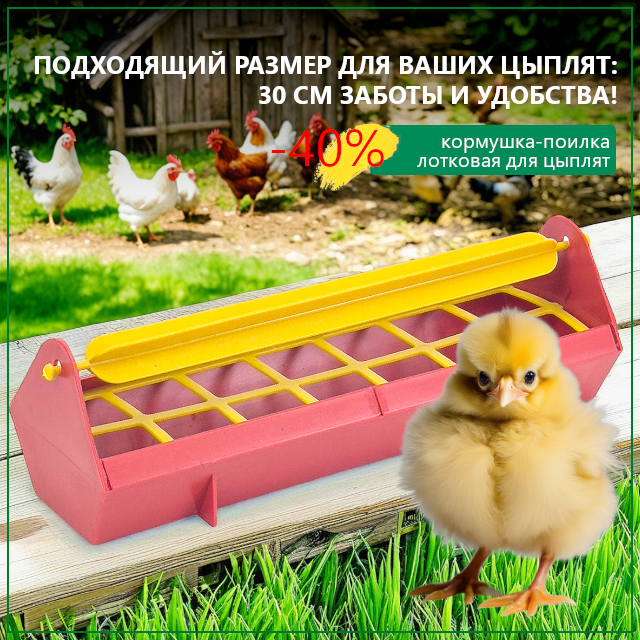 Универсальная кормушка-поилка для ваших цыплят Универсальная кормушка-поилка для ваших цыплят