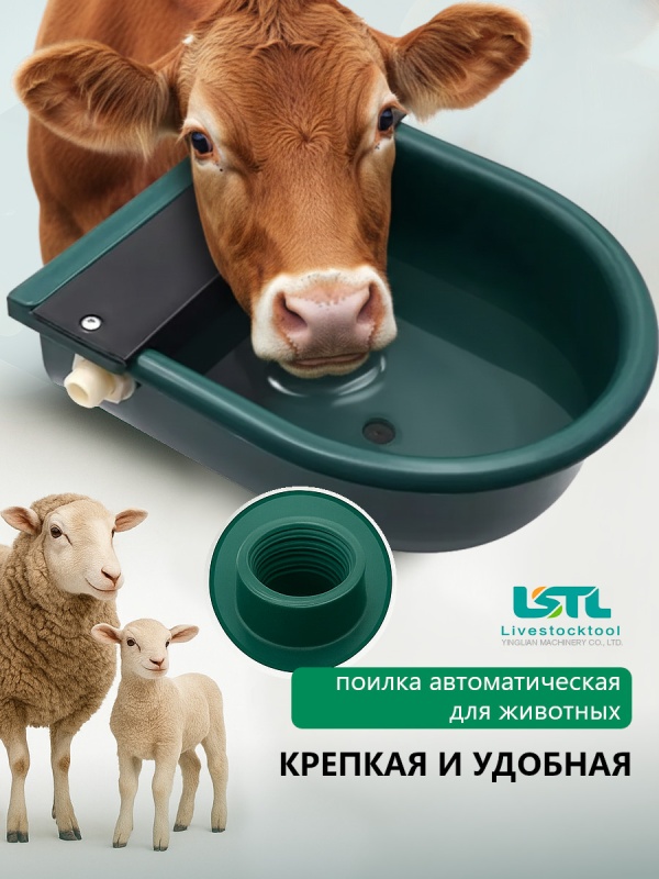 Свежая вода доступна животному в любое время