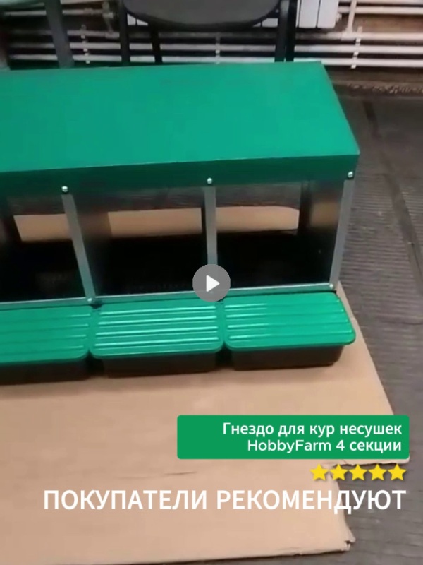 Идеальное гнездо для кур-несушек или нет?