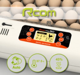 Старт продаж инкубаторов RCOM (Южная Корея)