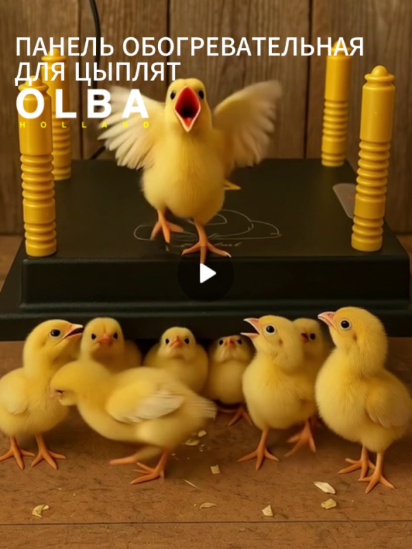 Брудер в виде обогревательной панели для цыплят