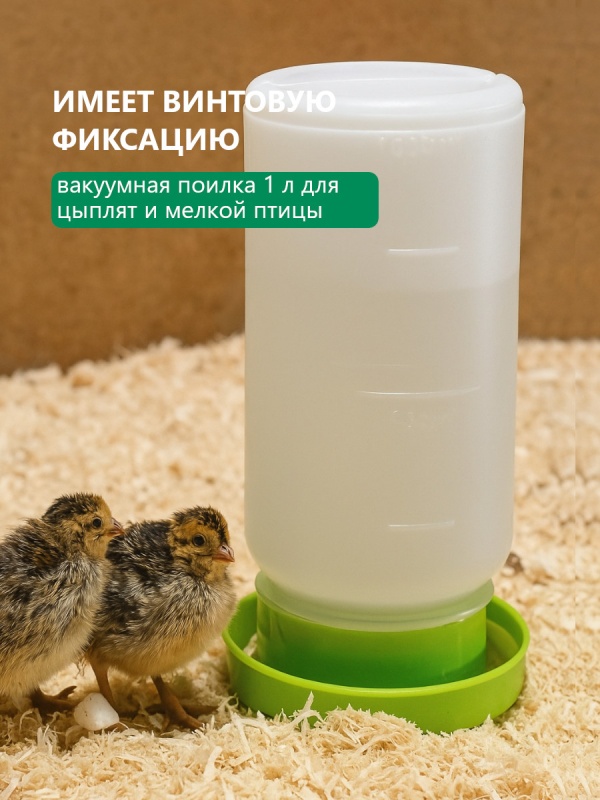 Цыплята в шоке: теперь даже питьё это технология