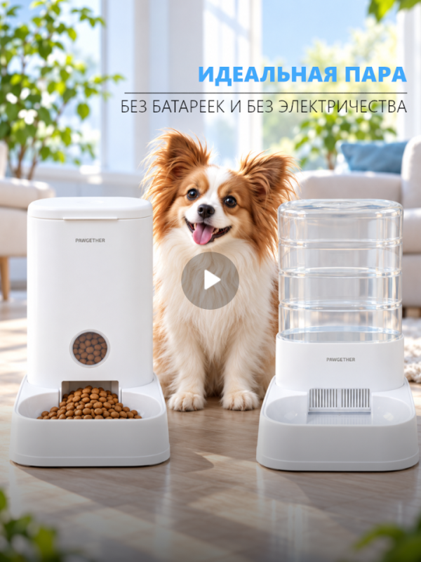 Прекрасное комбо для вашего хвостика