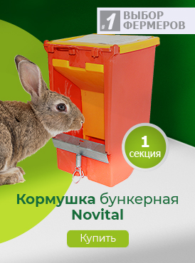 Кормушка / Кролиководство Кормушка / Кролиководство
