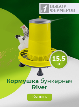 Кормушки / Птицеводство Кормушки / Птицеводство