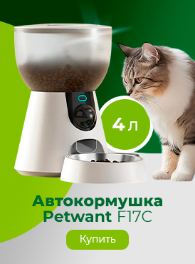 Кормушка / Кошки