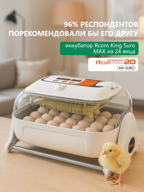 Корейская инженерия со швейцарской точностью