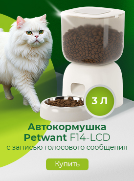 Кормушка / Кошки Кормушка / Кошки