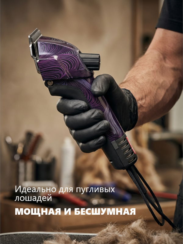 Секрет идеальной стрижки пугливых лошадей