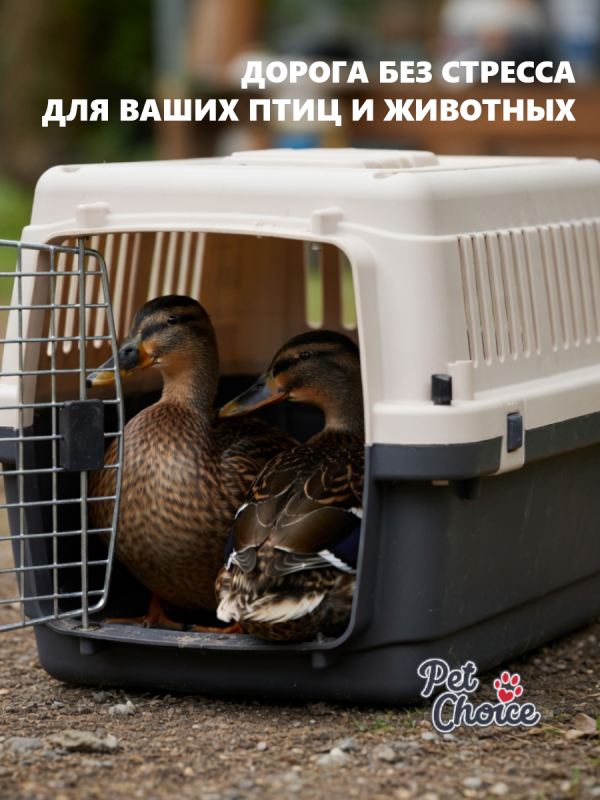 Кто сказал, что переноска только для кошек и собак