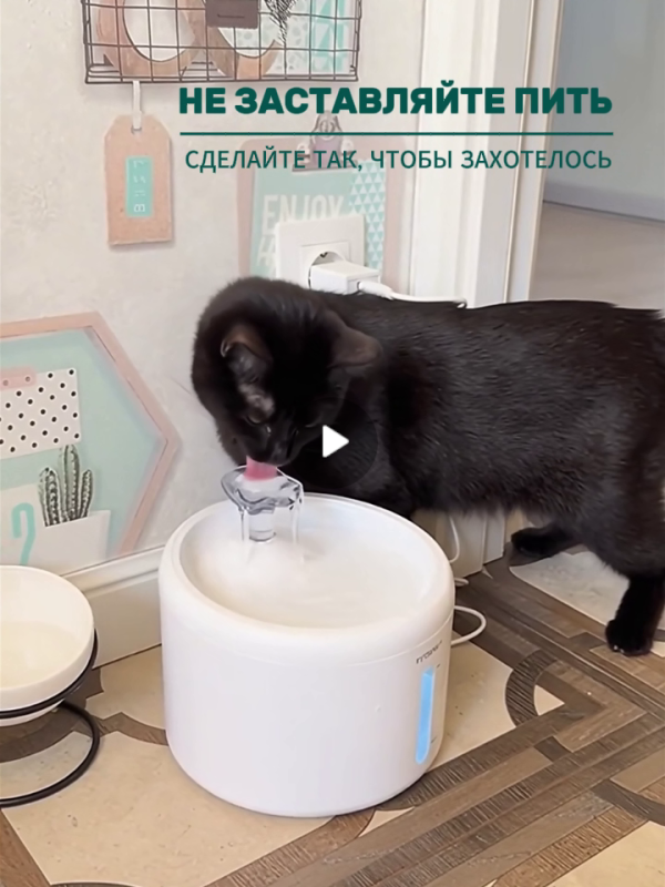 Фонтан-поилка с заботой о здоровье кошек