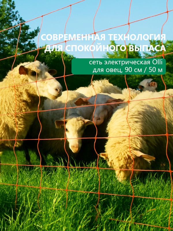 Забудьте о побегах с сетью OLLI Забудьте о побегах с сетью OLLI