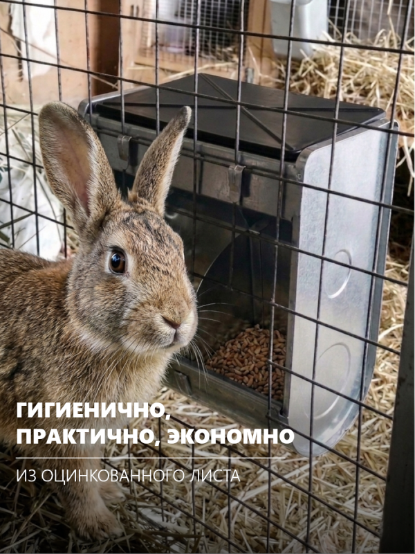 Итальянская кормушка River