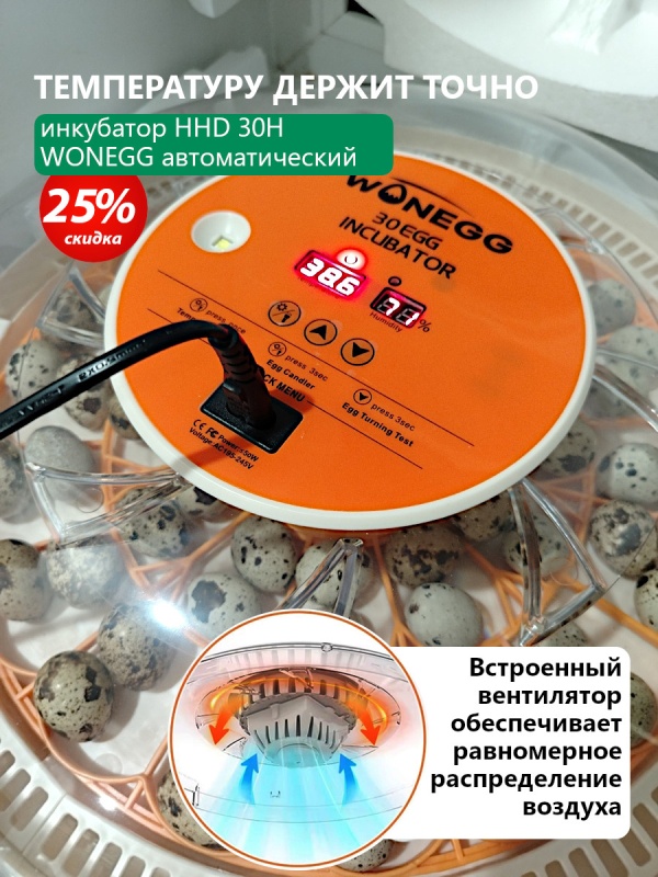 Снова в продаже! Автоматический инкубатор HHD 30H