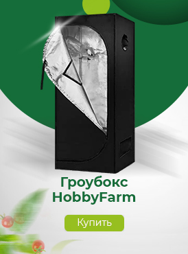 Гроубокс / Дом Гроубокс / Дом