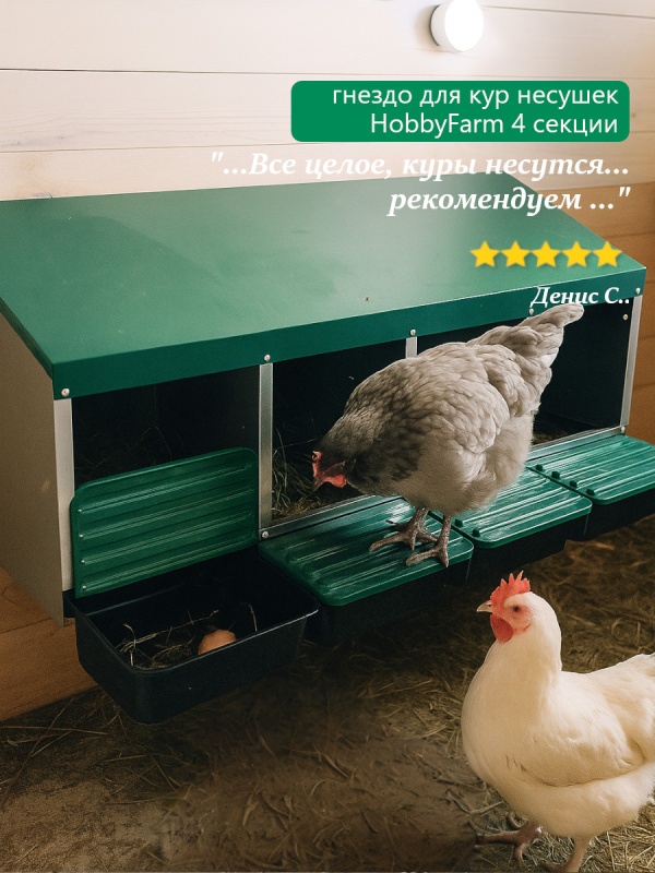 Маленькие хитрости для комфорта несушек