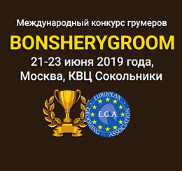 Международный конкурс грумеров BonsheryGroom