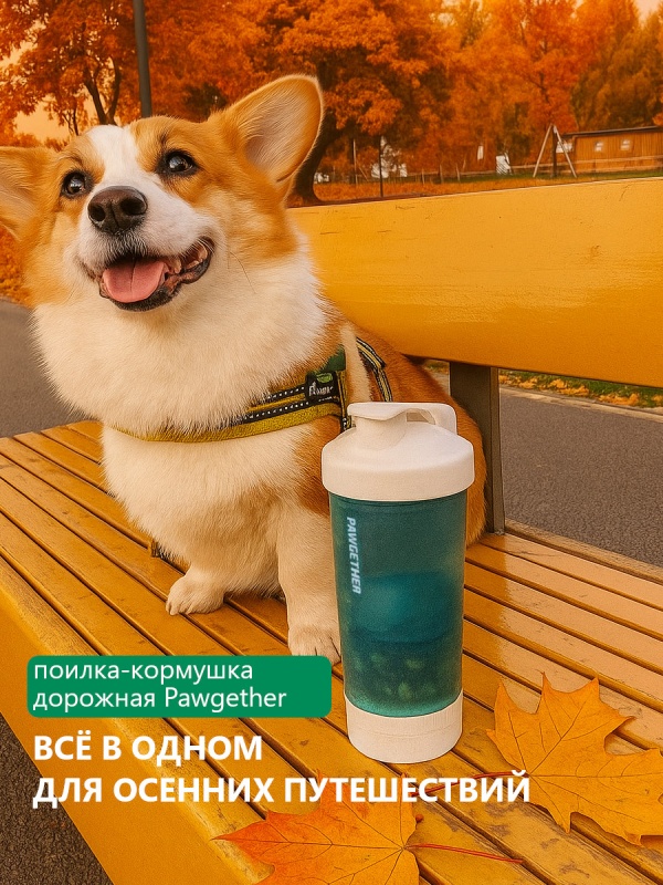 Бутылка 4 в 1 для прогулок с питомцем