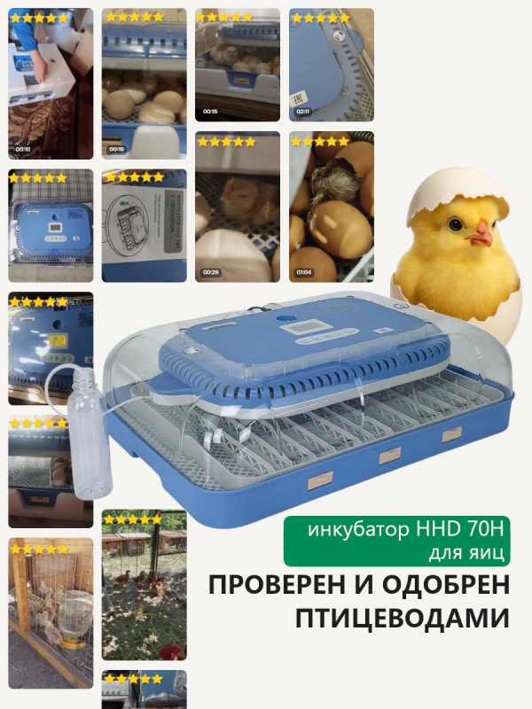  Проверено временем, одобрено птицеводами