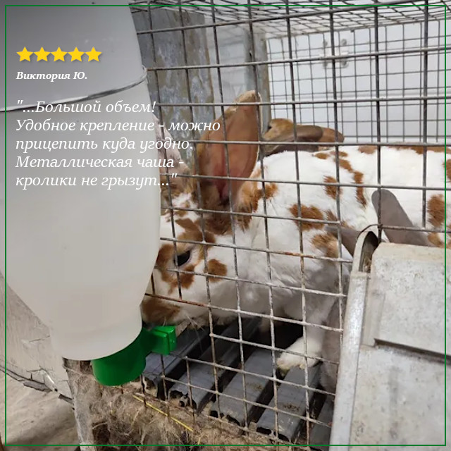 Поилка навесная с емкостью 2 литра – это незаменимый аксессуар для владельцев грызунов Поилка навесная с емкостью 2 литра – это незаменимый аксессуар для владельцев грызунов