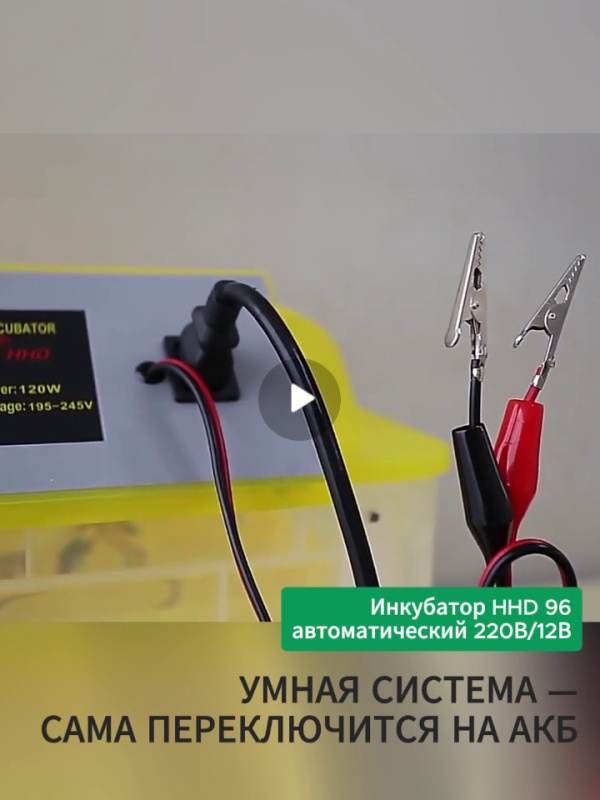 Инкубатор HHD 96 — умный, надёжный, без перебоев