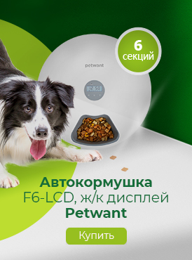 Автокормушка / Собаки Автокормушка / Собаки