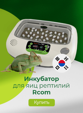 Инкубатор для рептилий / Черепахи Инкубатор для рептилий / Черепахи