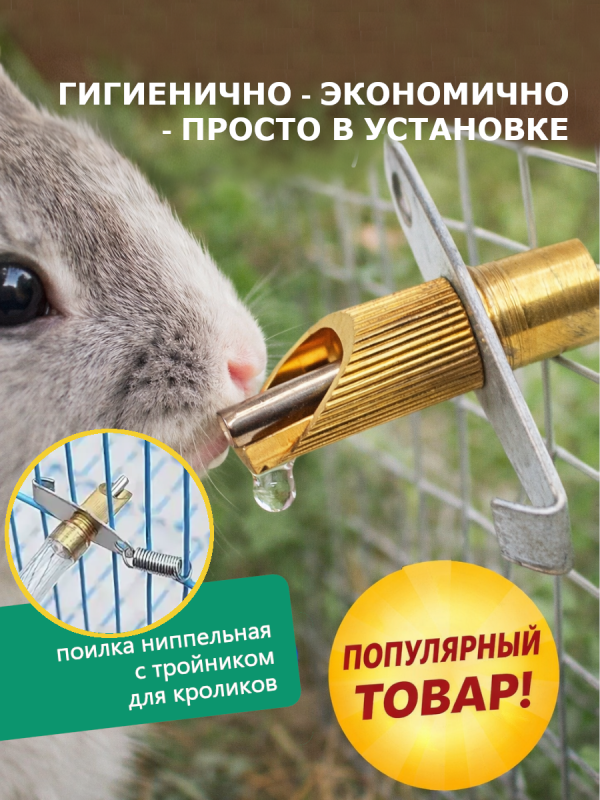 Чистая вода - здоровье ваших кроликов