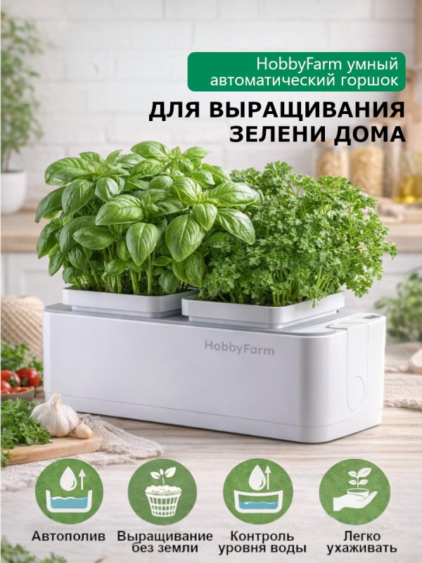 Свежая зелень прямо на подоконнике