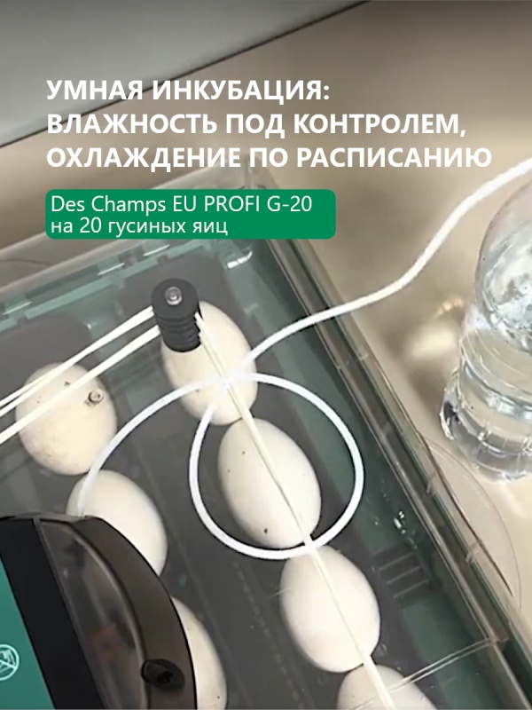 Des Champs EU PROFI G-20 — умный инкубатор для 20 гусиных яиц