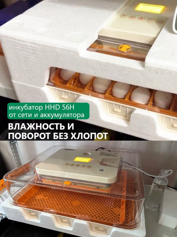 Влажность и поворот без хлопот с инкубатором HHD 56H