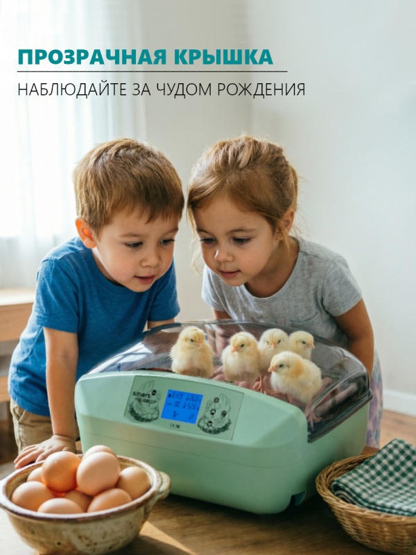 Мечтаете о собственной мини-ферме