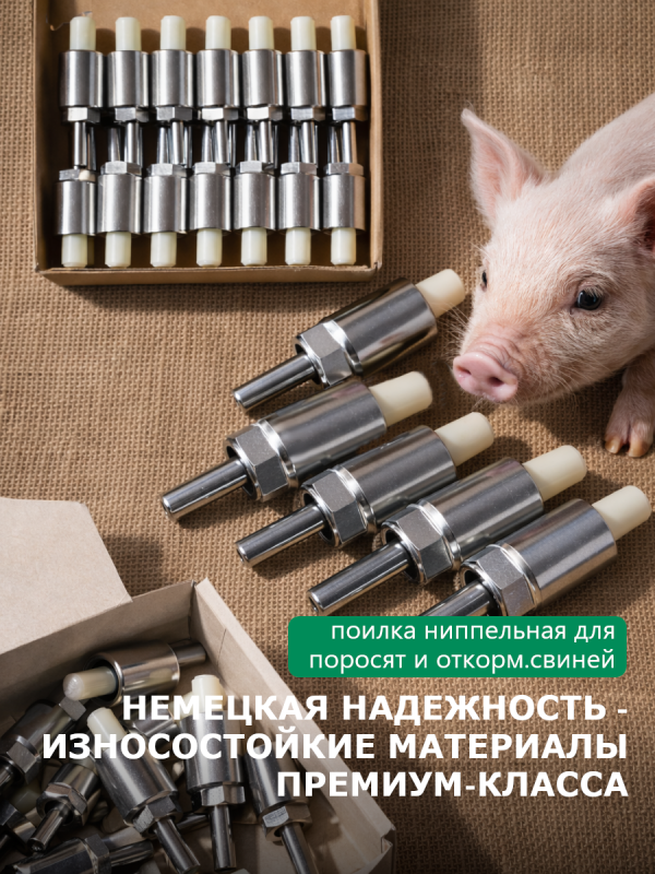 Чистая вода = здоровые поросята