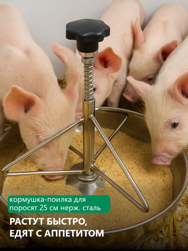 Всем, кто растит поросят с умом