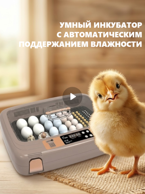 Умный инкубатор с автоматическим поддержанием влажности