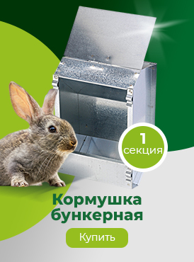 Кормушка / Кролиководство