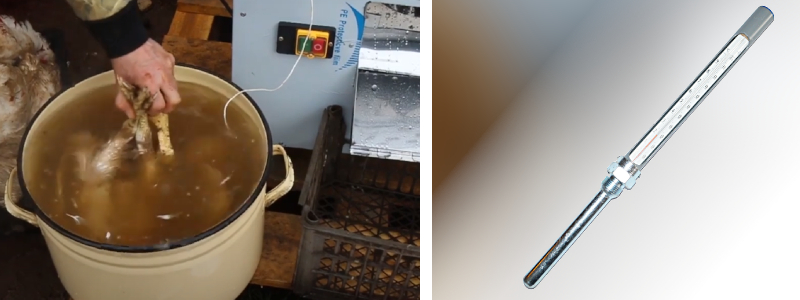 термометр для ошпарки птицы
