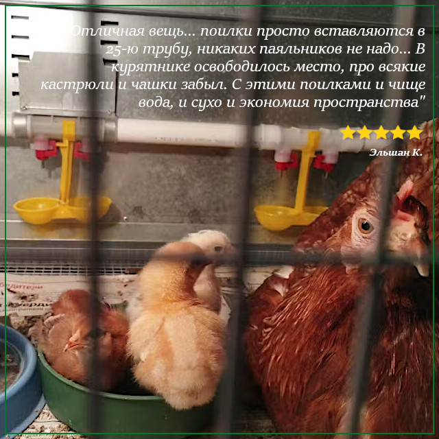 Отзыв о двойной поилке с каплеуловителем Отзыв о двойной поилке с каплеуловителем