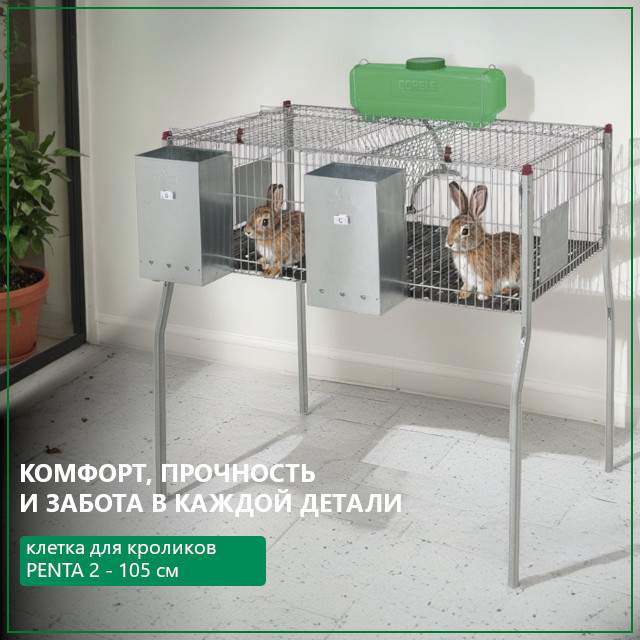 Penta – клетка, которая сделает жизнь ваших кроликов идеальной Penta – клетка, которая сделает жизнь ваших кроликов идеальной